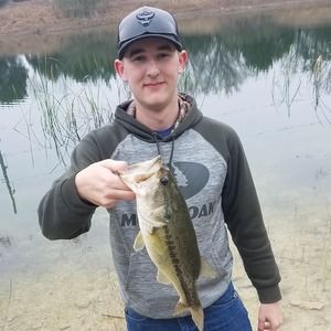 Meet your Posher, Logan